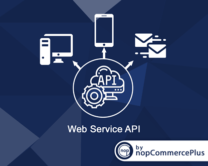 Picture of Web Service API